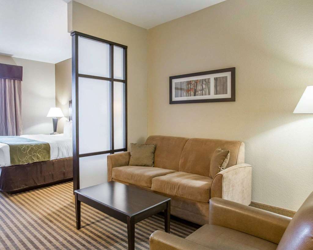 Comfort Suites Mcdonough Atlanta South Zimmer foto